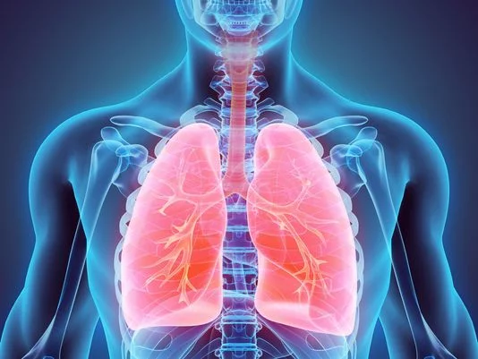 | سایت دکتر شاهرخ تقوی دکتر شاهرخ تقوی❤️فوق تخصص قلب و عروق پنومونی (Pneumonia)